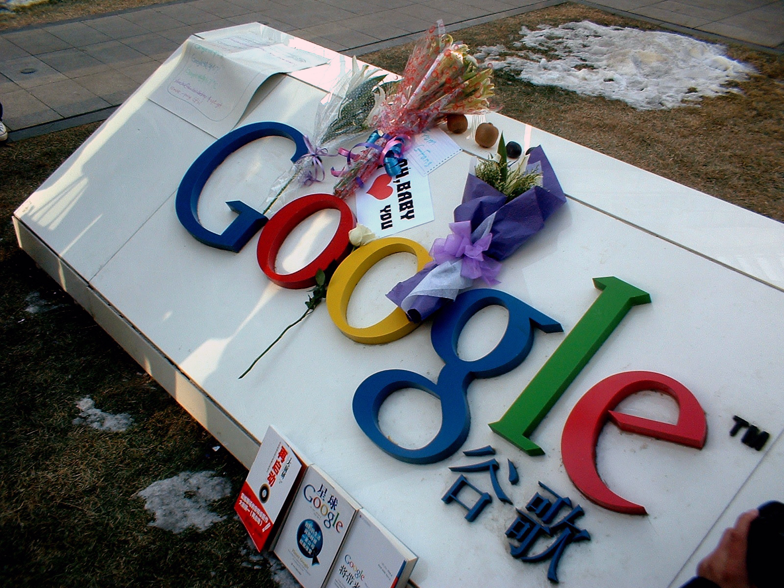 Illegal flower tribute on Wikipedia (CC-By-SA 3.0)