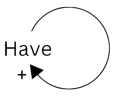 The have loop is a positive feedback self-loop showing the effects of possessing something of limited supply.