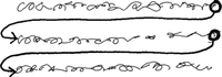 An eyeball moves from the end of one line to the next and then moves to the beginning of the next line.